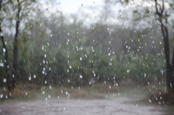 Veja quanto choveu nesta quarta-feira em Santa Terezinha e outros municípios do Pajeú